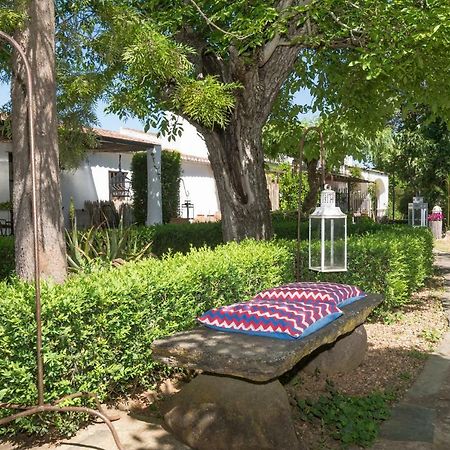 Bed and Breakfast Monte Da Fornalha Борба Экстерьер фото